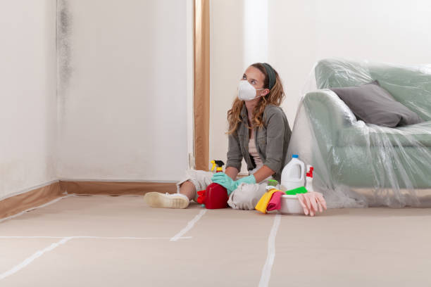 Reliable Mold Cleanup contractor in Cumming, GA by WQB Mold Removal